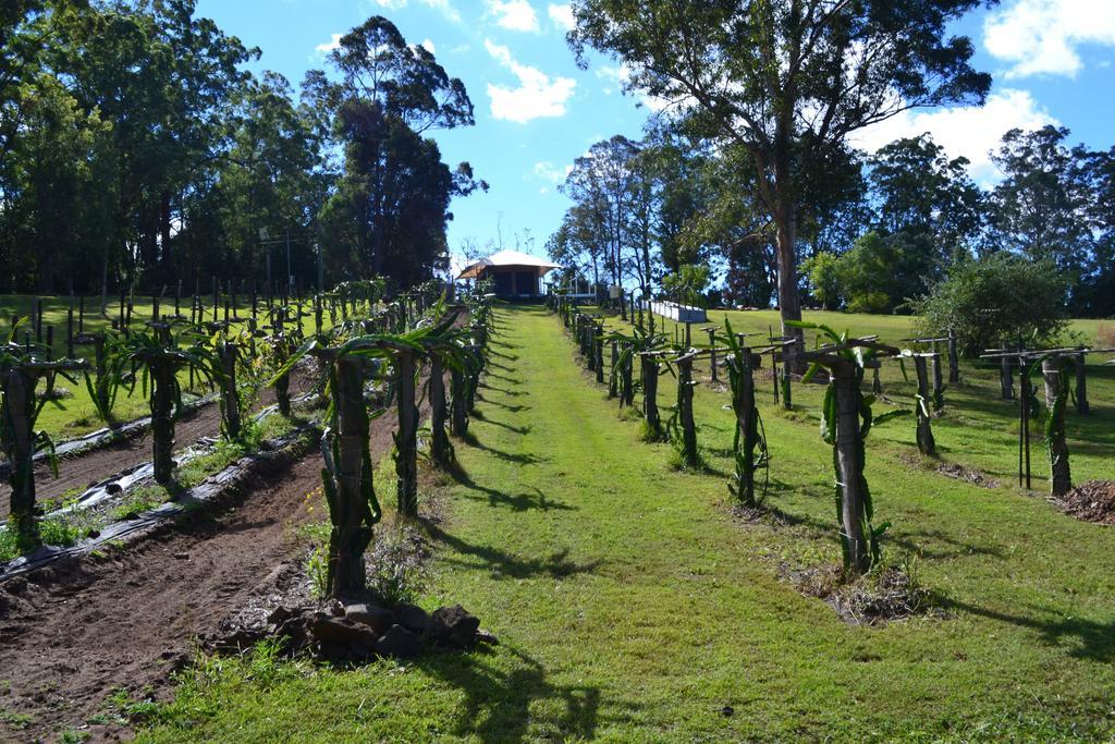 Hotel Tuckers Retreat Canungra Exteriér fotografie