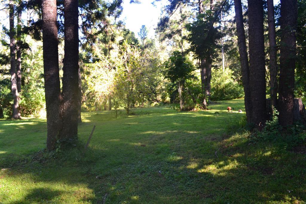 Hotel Tuckers Retreat Canungra Exteriér fotografie