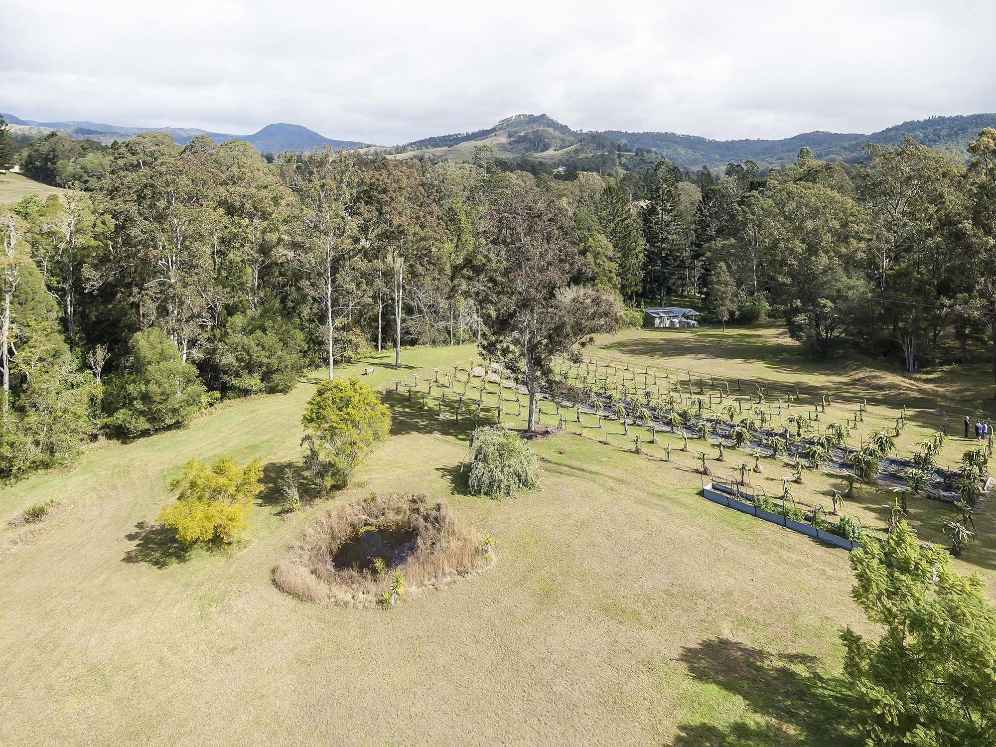 Hotel Tuckers Retreat Canungra Exteriér fotografie